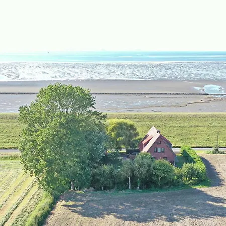 Bruns - Deich 1 * Butjadingen